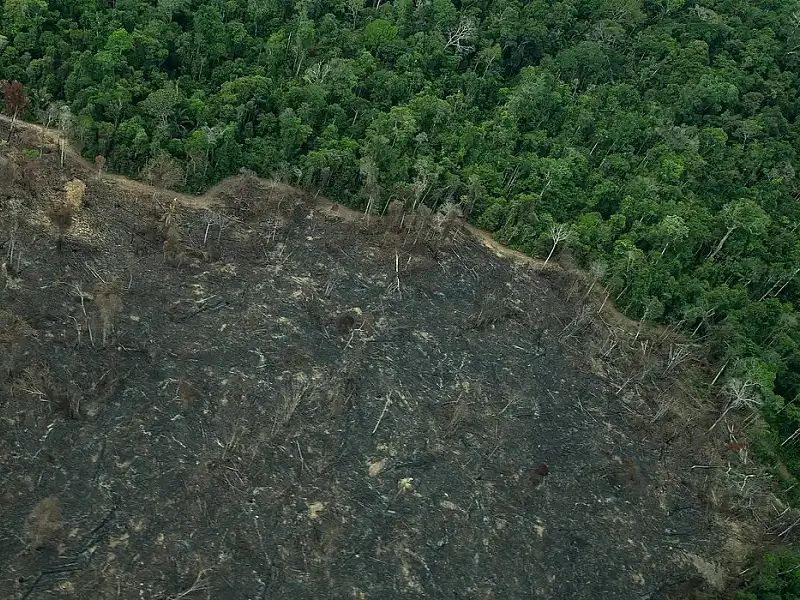 Greenpeace: imagens mostram novas áreas de garimpo em TIs na Amazônia