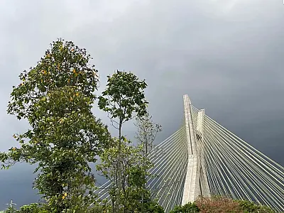 Semana em SP deve ter pancadas de chuva e oscilação na temperatura