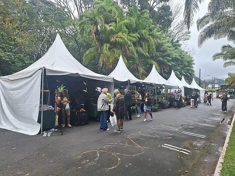 Festival de Orquídeas de Santos começa nesta sexta-feira, no Jardim Botânico