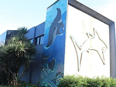 Aquário de Santos comemora 80 anos com festa ao ar livre neste sábado