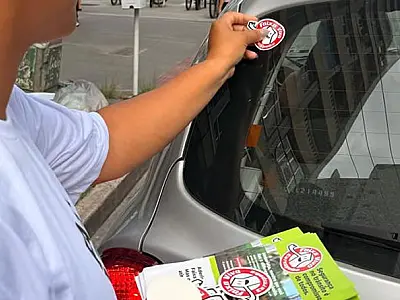 Campanha Faixa Viva adesiva mais de 7 mil carros em Santos