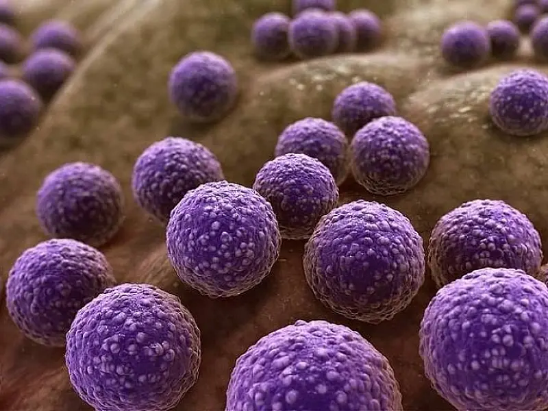 Estudo identifica quase 1 milhão de substâncias potenciais contra bactérias resistentes