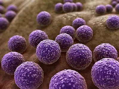 Estudo identifica quase 1 milhão de substâncias potenciais contra bactérias resistentes