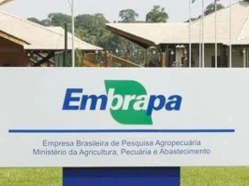 Embrapa entrega documento ao presidente da COP30 com contribuições para o Mutirão Global