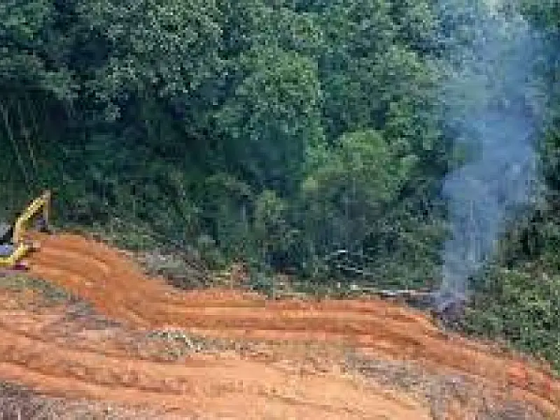 Desmatamento é recorde em setembro no cerrado, enquanto cai 59% na amazônia