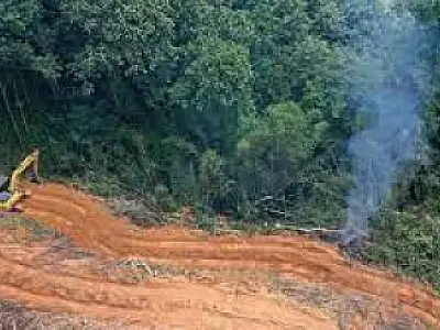 Desmatamento é recorde em setembro no cerrado, enquanto cai 59% na amazônia