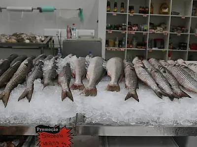 Mercado de Peixes de Santos faz Festival da Tainha com o menor preço dos últimos anos: R$ 11,99