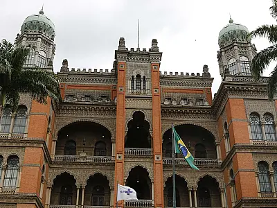 Crescem casos de internações associados ao rinovírus entre crianças