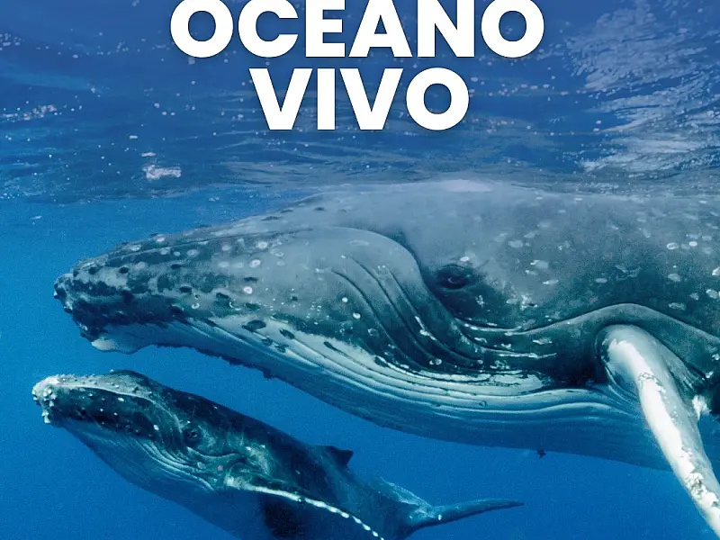 Evento inédito e gratuito em Santos promove debate sobre a relação humana com a fauna aquática
