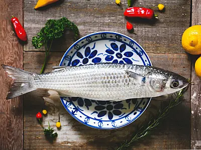 Mercado de Peixes de Santos terá festival com tainha a partir de R$ 12,99/kg
