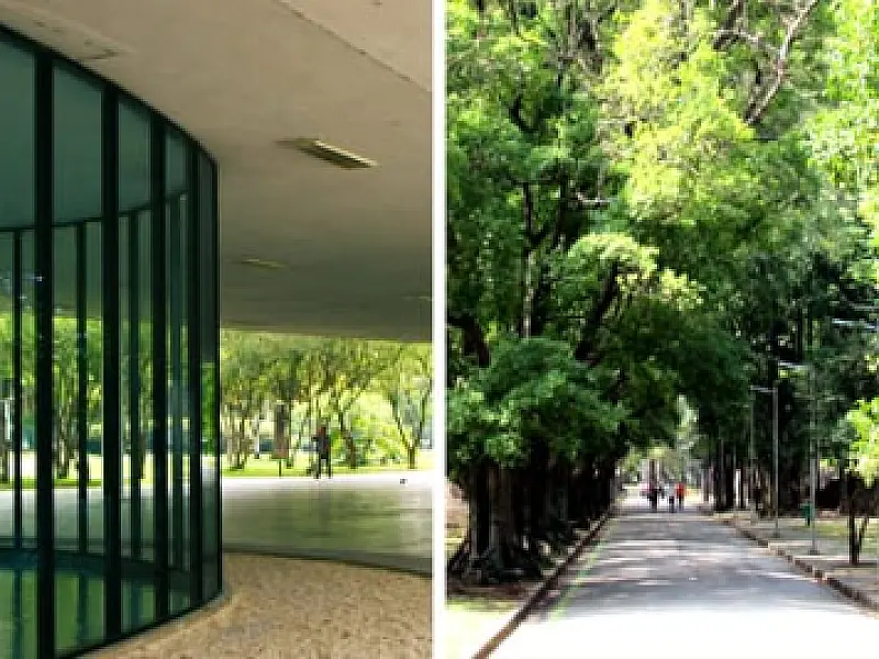 Parque Ibirapuera completa 71 anos hoje