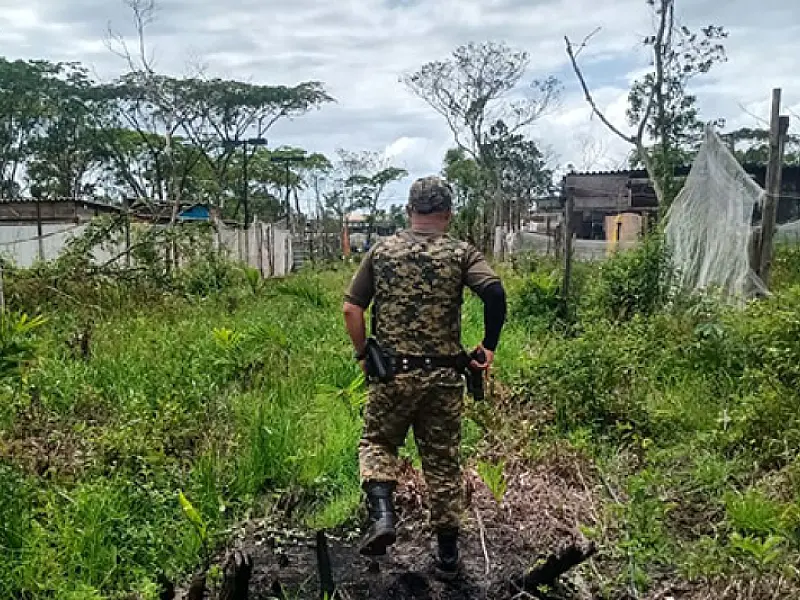 Comissão Especial através de ações da Guarda Ambiental intensifica fiscalização