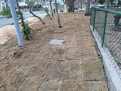 Praça da Vila Belmiro, em Santos, começa a receber serviços paisagísticos