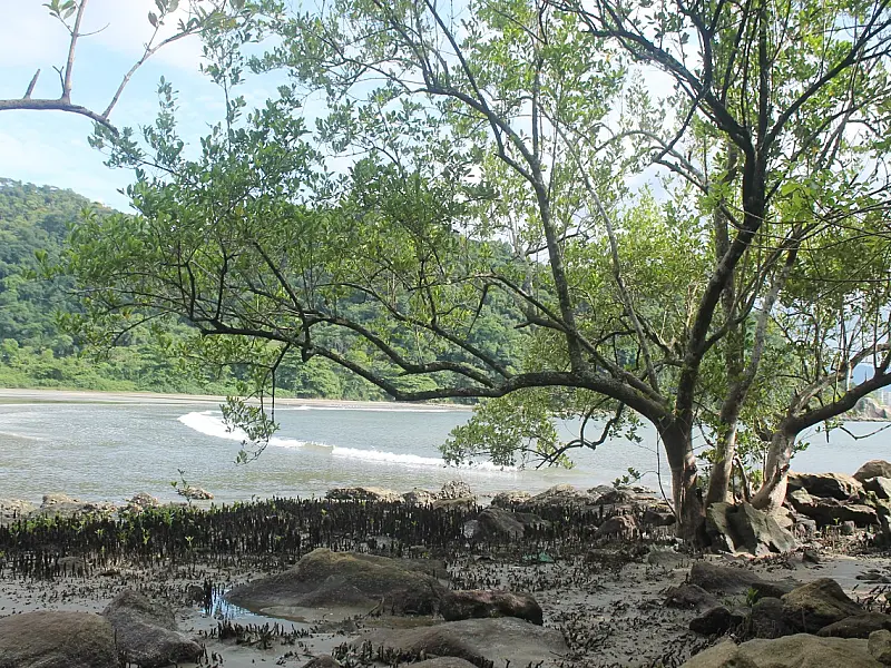 Biólogo do Parque Xixová-Japuí fala sobre reciclagem na UE Nilton Ribeiro
