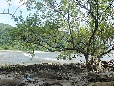 Biólogo do Parque Xixová-Japuí fala sobre reciclagem na UE Nilton Ribeiro