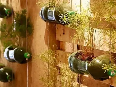 Orquidário de Santos promove curso para educadores e oficina de vasos