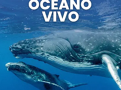 Evento inédito e gratuito em Santos promove debate sobre a relação humana com a fauna aquática
