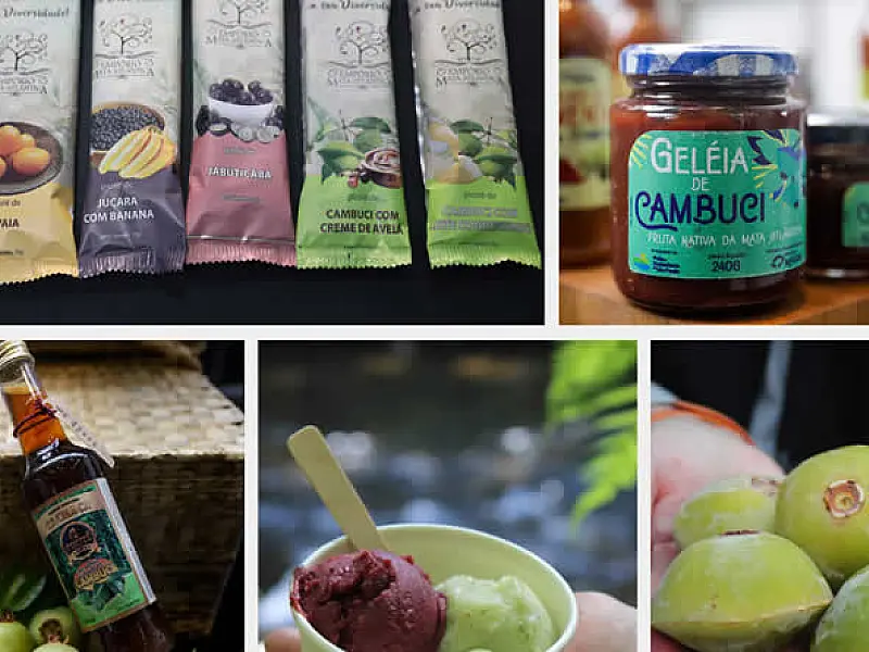 SP Produz: conheça a cadeia produtiva de frutas da Mata Atlântica paulista