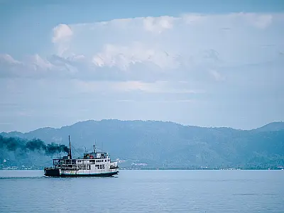 Tripulação da balsa resgata cachorro que pulou no mar durante travessia São Sebastião-Ilhabela