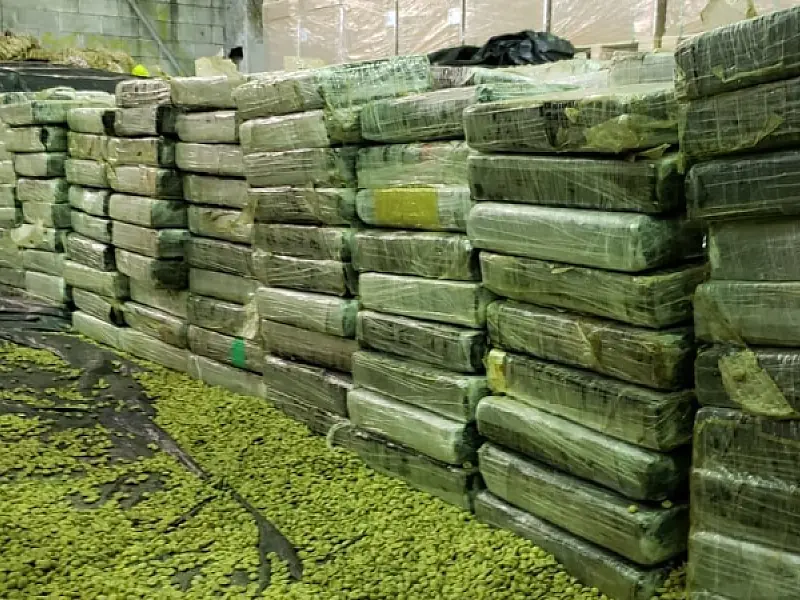 Receita Federal intercepta embarque de quase uma tonelada de cocaína para a Europa