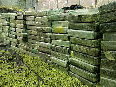 Receita Federal intercepta embarque de quase uma tonelada de cocaína para a Europa