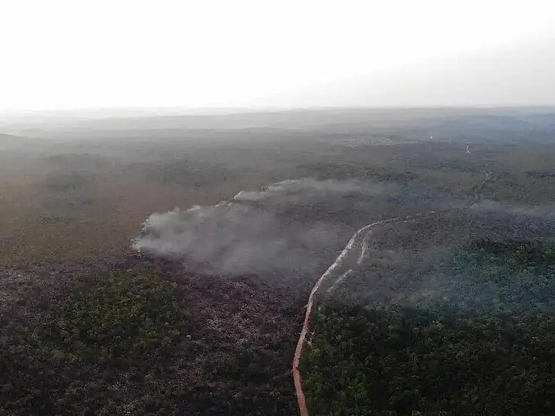 Parceria cria projetos para solucionar desafios de desenvolvimento sustentável em Santos