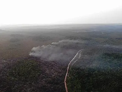 Parceria cria projetos para solucionar desafios de desenvolvimento sustentável em Santos