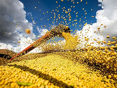 Conab estima recorde na produção de grãos