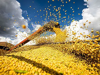 Safra agrícola deverá superar 318 milhões de toneladas neste ano
