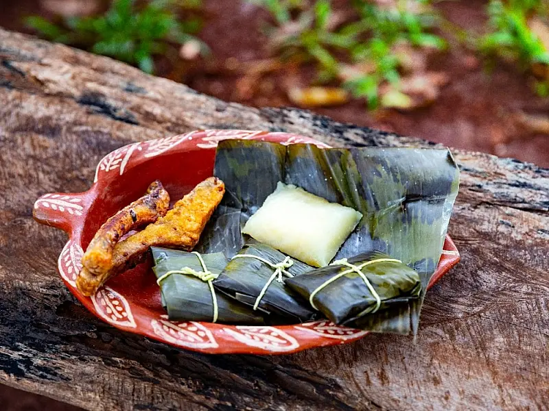 Documentário retrata culinária indígena do Brasil e busca patrocínio para estrear