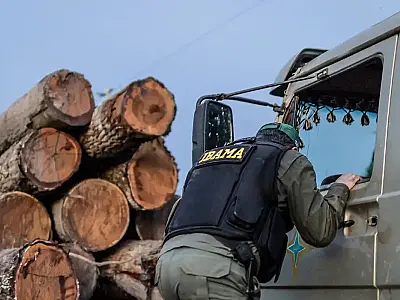 Servidores do Ibama prometem suspender fiscalização ambiental