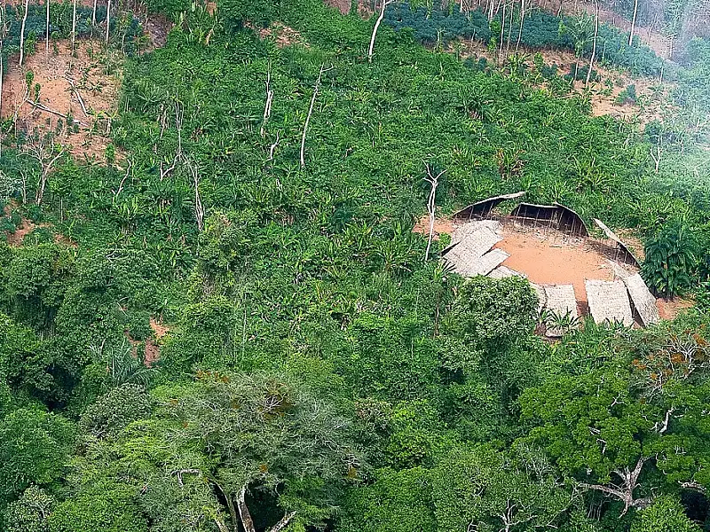 Desmatamento em áreas protegidas da Amazônia cai 73% em 2023