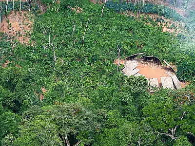 Desmatamento em áreas protegidas da Amazônia cai 73% em 2023