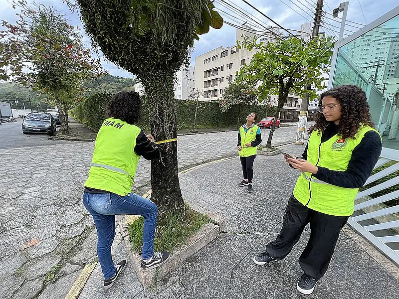 Guarujá mapeia mais de 10 mil árvores para plano municipal em espaço urbano