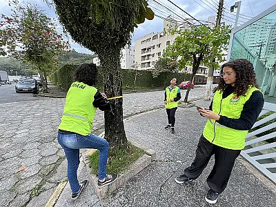 Guarujá mapeia mais de 10 mil árvores para plano municipal em espaço urbano