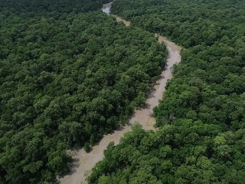 Áreas protegidas são quase metade da Amazônia Legal, mostra IBGE