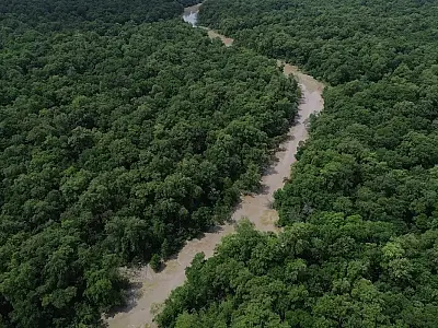 Áreas protegidas são quase metade da Amazônia Legal, mostra IBGE