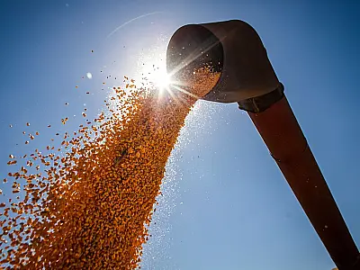 Conab estima produção de grãos em 315,8 milhões de toneladas