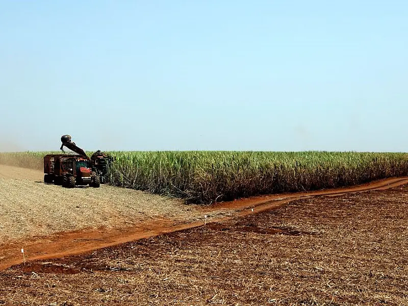 Brasil e Japão assinam acordo para desenvolver agricultura digital