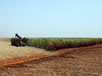 Brasil e Japão assinam acordo para desenvolver agricultura digital