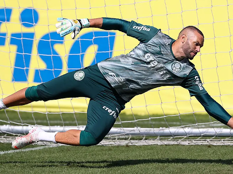 Após avançar no Brasileiro, Palmeiras encerra fase de grupos da Libertadores
