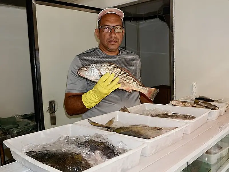 Guarujá: Caminhão do Peixe tem pescados a preços acessíveis