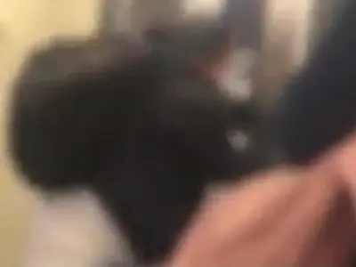Veja o vídeo: passageira do metrô de São Paulo expulsa mulher que se recusava a usar máscara