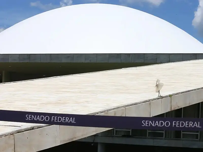 Comissão do Senado aprova tipificar crime de apologia à ditadura