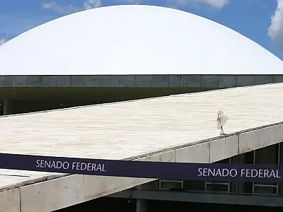 Comissão do Senado aprova tipificar crime de apologia à ditadura