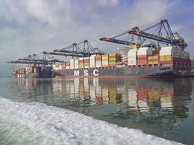 Porto de Santos cresce 11,6% em movimentação de contêineres e registra recorde histórico