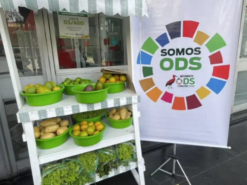 Cubatão promove, nesta sexta (17), ação com troca de recicláveis por hortifrúti para servidores municipais