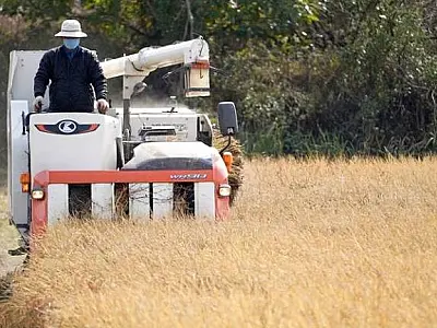 Coreia do Norte testa até água de rios para Covid e diz que surto está sob controle