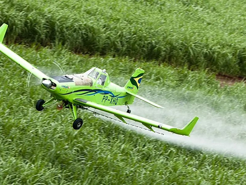 STF julga constitucionalidade de lei do Ceará sobre pulverização aérea
