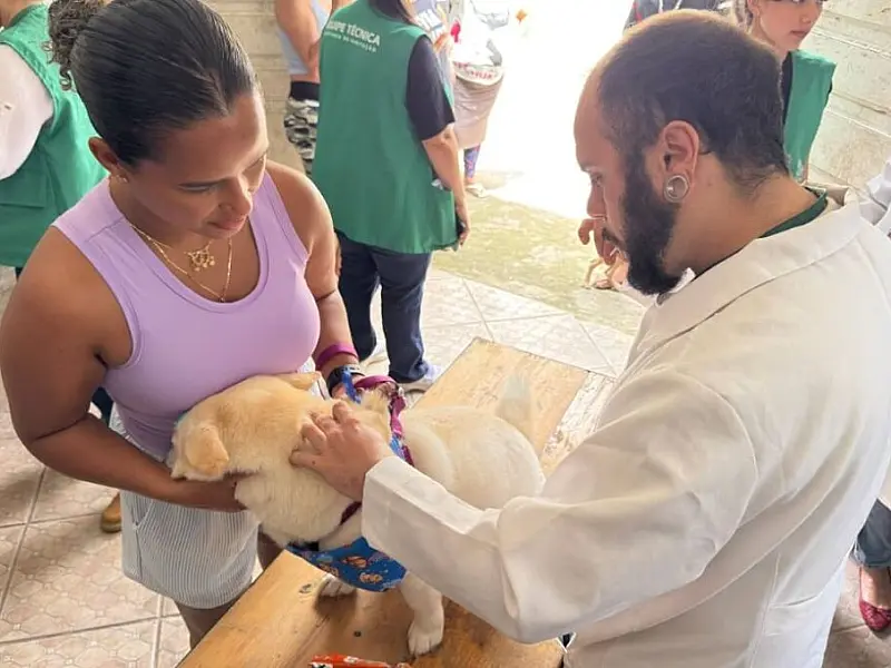 Cães e gatos são microchipados e recebem cuidados  antes de deixarem o Mantiqueira rumo à casa nova